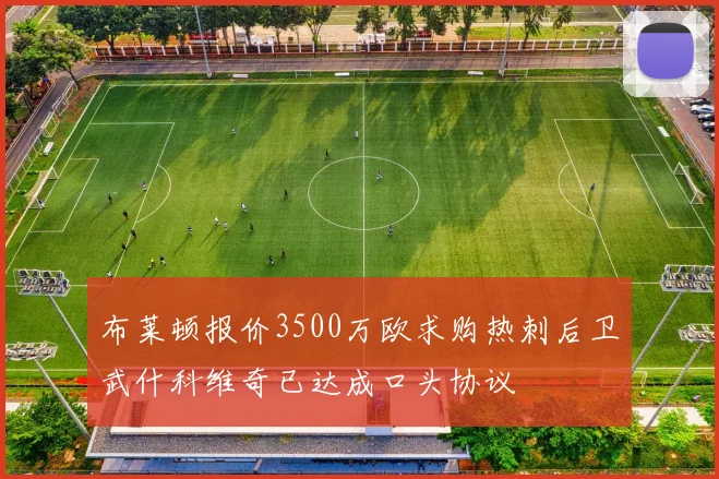 布莱顿报价3500万欧求购热刺后卫武什科维奇已达成口头协议
